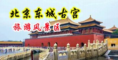 插逼嗯嗯啊啊啊啊啊快插逼视频中国北京-东城古宫旅游风景区